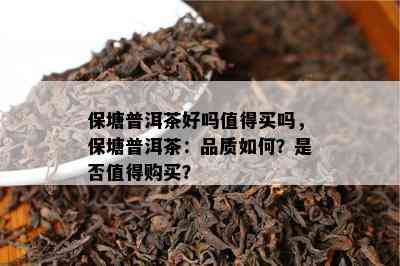 保塘普洱茶好吗值得买吗，保塘普洱茶：品质如何？是否值得购买？