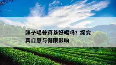 胖子喝普洱茶好喝吗？探究其口感与健康作用