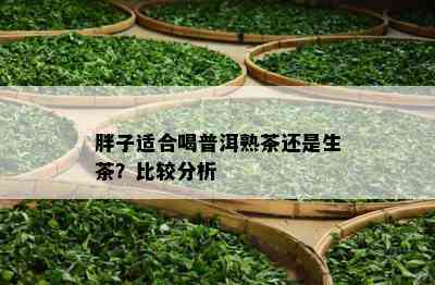 胖子适合喝普洱熟茶还是生茶？比较分析