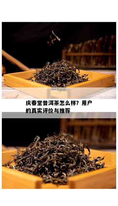 庆春堂普洱茶怎么样？用户的真实评价与推荐