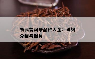 易武普洱茶品种大全：详细介绍与图片