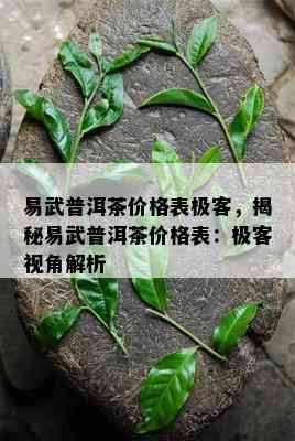 易武普洱茶价格表极客，揭秘易武普洱茶价格表：极客视角解析