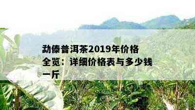 勐傣普洱茶2019年价格全览：详细价格表与多少钱一斤