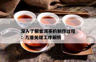 深入熟悉普洱茶的制作过程：几道关键工序解析