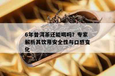 6年普洱茶还能喝吗？专家解析其饮用安全性与口感变化