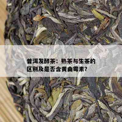 普洱发酵茶：熟茶与生茶的区别及是不是含黄曲霉素？