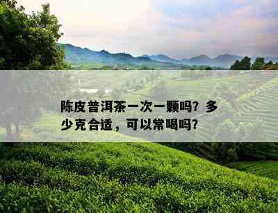 陈皮普洱茶一次一颗吗？多少克合适，可以常喝吗？