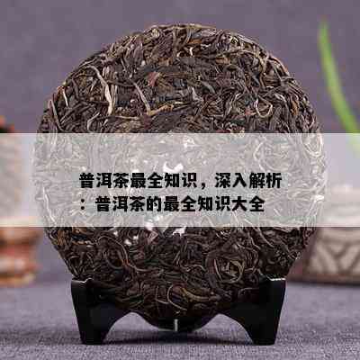 普洱茶最全知识，深入解析：普洱茶的最全知识大全