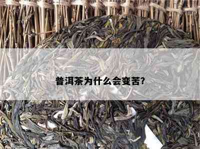 普洱茶为什么会变苦？