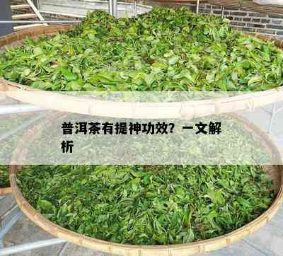 普洱茶有提神功效？一文解析