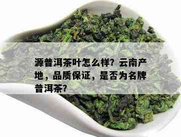 源普洱茶叶怎么样？云南产地，品质保证，是否为名牌普洱茶？