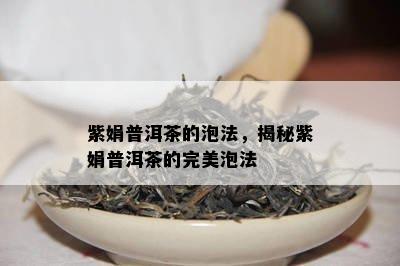 紫娟普洱茶的泡法，揭秘紫娟普洱茶的完美泡法