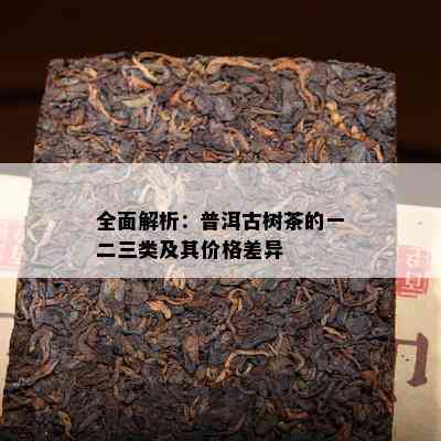 全面解析：普洱古树茶的一二三类及其价格差异