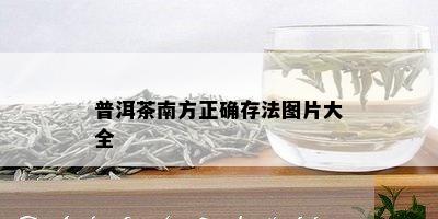 普洱茶南方正确存法图片大全