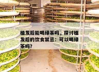 植发后能喝绿茶吗，探讨植发后的饮食禁忌：可以喝绿茶吗？