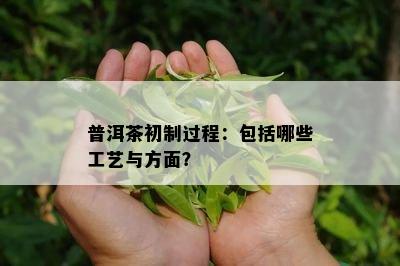 普洱茶初制过程：包括哪些工艺与方面？