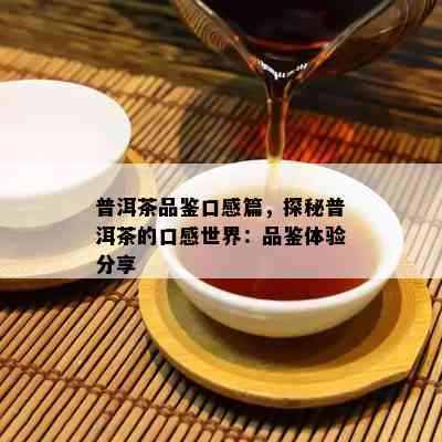 普洱茶品鉴口感篇，探秘普洱茶的口感世界：品鉴体验分享