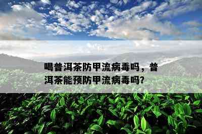 喝普洱茶防甲流病吗，普洱茶能预防甲流病吗？