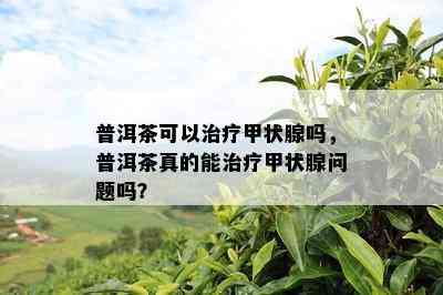 普洱茶可以治疗甲状腺吗，普洱茶真的能治疗甲状腺疑问吗？