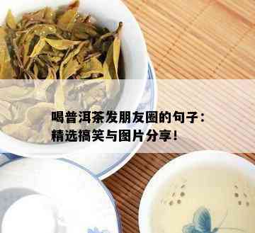 喝普洱茶发朋友圈的句子：精选搞笑与图片分享！