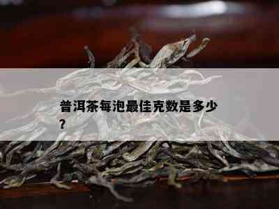 普洱茶每泡更佳克数是多少？