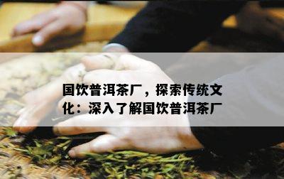 国饮普洱茶厂，探索传统文化：深入熟悉国饮普洱茶厂