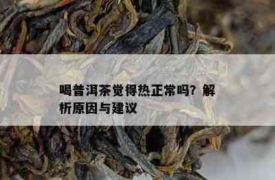 喝普洱茶觉得热正常吗？解析起因与建议