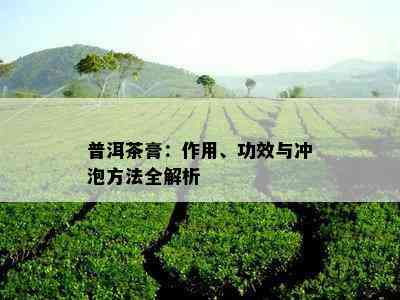 普洱茶膏：作用、功效与冲泡方法全解析