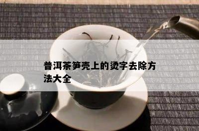 普洱茶笋壳上的烫字去除方法大全