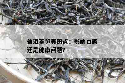 普洱茶笋壳斑点：作用口感还是健康疑问？