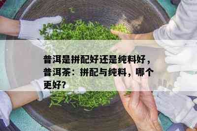 普洱是拼配好还是纯料好，普洱茶：拼配与纯料，哪个更好？