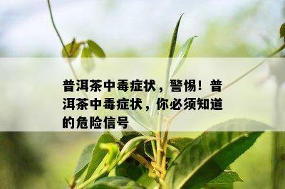 普洱茶中症状，警惕！普洱茶中症状，你必须知道的危险信号