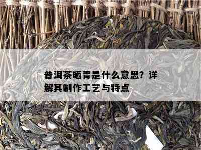 普洱茶晒青是什么意思？详解其制作工艺与特点