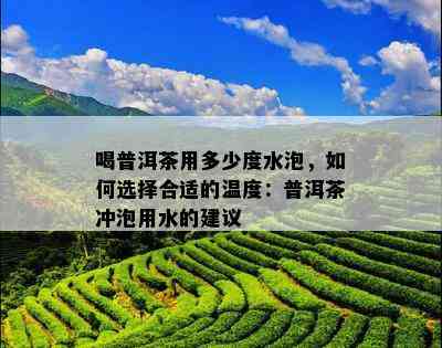 喝普洱茶用多少度水泡，怎样选择合适的温度：普洱茶冲泡用水的建议