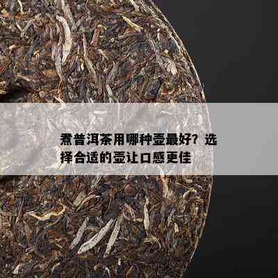 煮普洱茶用哪种壶更好？选择合适的壶让口感更佳