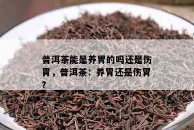 普洱茶能是养胃的吗还是伤胃，普洱茶：养胃还是伤胃？