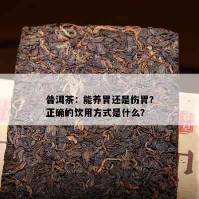 普洱茶：能养胃还是伤胃？正确的饮用方式是什么？