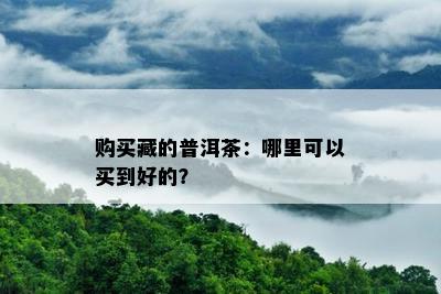 购买藏的普洱茶：哪里可以买到好的？