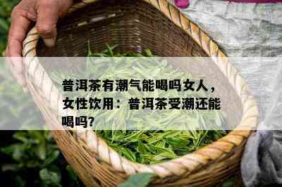 普洱茶有潮气能喝吗女人，女性饮用：普洱茶受潮还能喝吗？