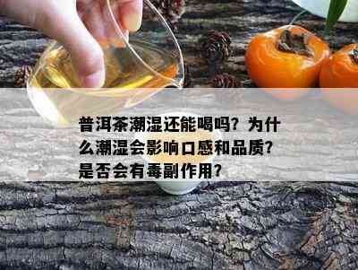 普洱茶潮湿还能喝吗？为什么潮湿会作用口感和品质？是不是会有副作用？