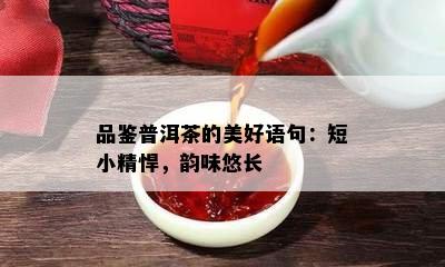 品鉴普洱茶的美好语句：短小精悍，韵味悠长