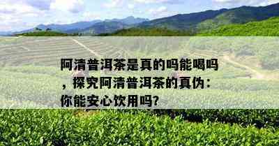 阿清普洱茶是真的吗能喝吗，探究阿清普洱茶的真伪：你能安心饮用吗？