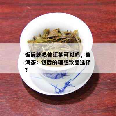 饭后就喝普洱茶可以吗，普洱茶：饭后的理想饮品选择？