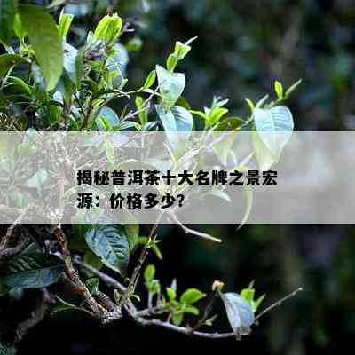 揭秘普洱茶十大名牌之景宏源：价格多少？