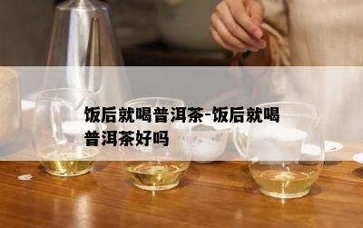 饭后就喝普洱茶-饭后就喝普洱茶好吗