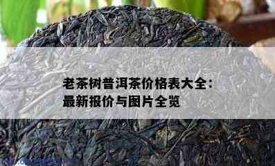 老茶树普洱茶价格表大全：最新报价与图片全览