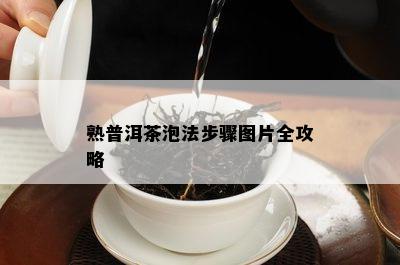 熟普洱茶泡法步骤图片全攻略