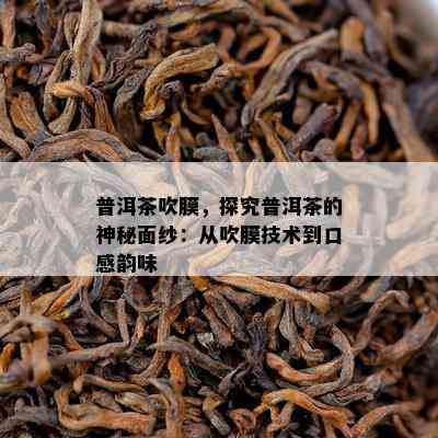 普洱茶吹膜，探究普洱茶的神秘面纱：从吹膜技术到口感韵味