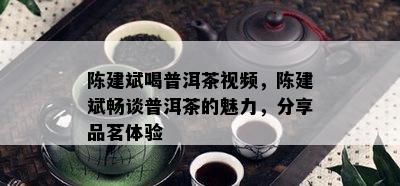 陈建斌喝普洱茶视频，陈建斌畅谈普洱茶的魅力，分享品茗体验