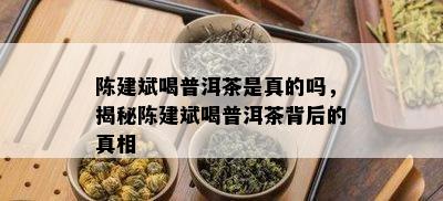 陈建斌喝普洱茶是真的吗，揭秘陈建斌喝普洱茶背后的真相